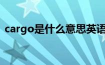 cargo是什么意思英语（cargo是什么意思）