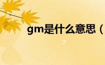 gm是什么意思（GM是什么意思）