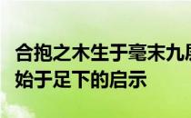 合抱之木生于毫末九层之台起于累土千里之行始于足下的启示