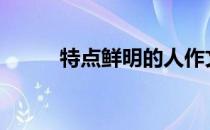 特点鲜明的人作文300字（特点）