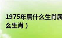 1975年属什么生肖属相什么命（1975年属什么生肖）