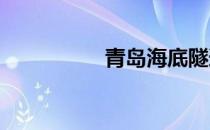 青岛海底隧道收费标准