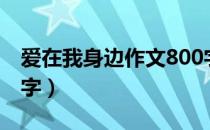 爱在我身边作文800字（爱在我身边作文600字）