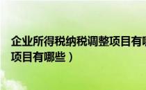 企业所得税纳税调整项目有哪些类型（企业所得税纳税调整项目有哪些）