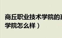 商丘职业技术学院的真实评价（商丘职业技术学院怎么样）