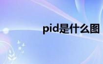 pid是什么图（pid是什么）