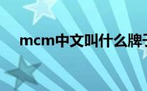 mcm中文叫什么牌子（mcm中文官网）