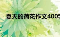 夏天的荷花作文400字（荷花作文400字）