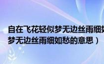 自在飞花轻似梦无边丝雨细如愁的意思作者（自在飞花轻似梦无边丝雨细如愁的意思）