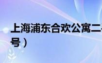 上海浦东合欢公寓二手房（上海浦东合欢路2号）