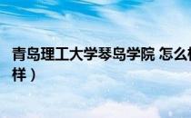 青岛理工大学琴岛学院 怎么样（青岛理工大学琴岛学院怎么样）