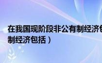 在我国现阶段非公有制经济包括什么（在我国现阶段非公有制经济包括）