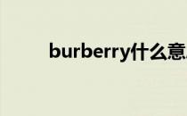 burberry什么意思（burberrys）