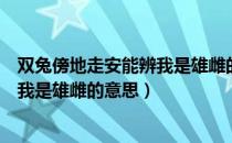 双兔傍地走安能辨我是雄雌的意思的傍（双兔傍地走安能辨我是雄雌的意思）