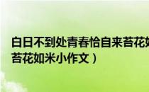 白日不到处青春恰自来苔花如米小（白日不到处青春恰自来苔花如米小作文）