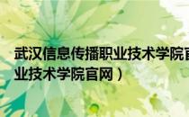 武汉信息传播职业技术学院官网专业评估（武汉信息传播职业技术学院官网）