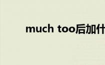 much too后加什么（much too）