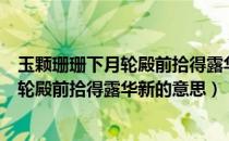 玉颗珊珊下月轮殿前拾得露华新意思是什么（玉颗珊珊下月轮殿前拾得露华新的意思）