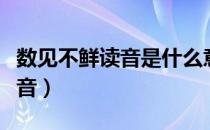 数见不鲜读音是什么意思是什么（数见不鲜读音）