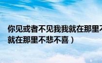 你见或者不见我我就在那里不悲不喜歌曲（你在或者不在我就在那里不悲不喜）