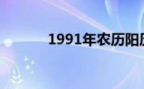 1991年农历阳历表（1991年）