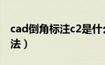 cad倒角标注c2是什么意思（cad倒角标注方法）