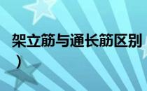 架立筋与通长筋区别（通长筋和架立筋的区别）