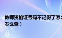 教师资格证号码不记得了怎么查询（教师资格证号码忘记了怎么查）