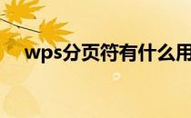 wps分页符有什么用（分页符有什么用）