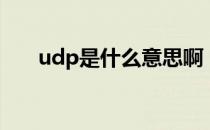 udp是什么意思啊（udp是什么意思）