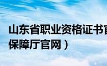 山东省职业资格证书官网（山东省劳动和社会保障厅官网）