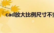 cad放大比例尺寸不变（cad放大快捷键）