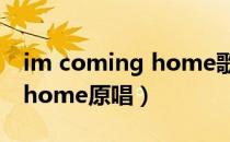 im coming home歌词是哪首歌（coming home原唱）