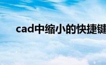 cad中缩小的快捷键（cad缩小快捷键）