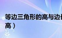 等边三角形的高与边长的关系（等边三角形的高）