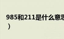 985和211是什么意思（minisite是什么意思）