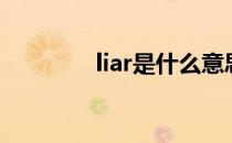 liar是什么意思中文（liar）