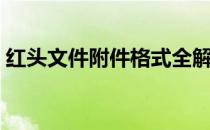 红头文件附件格式全解（红头文件附件格式）