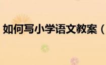 如何写小学语文教案（小学语文教案怎么写）