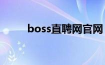 boss直聘网官网（牡丹奇迹官网）