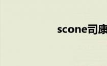 scone司康（scone）