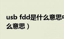 usb fdd是什么意思中文翻译（usb fdd是什么意思）