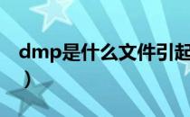 dmp是什么文件引起蓝屏（dmp是什么文件）