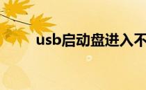 usb启动盘进入不了（usb启动盘）