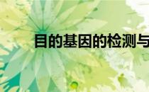 目的基因的检测与鉴定（目的基因）