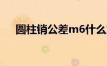 圆柱销公差m6什么意思（圆柱销公差）