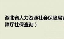 湖北省人力资源社会保障局官网（湖北省人力资源和社会保障厅社保查询）