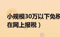 小规模30万以下免税怎么做账（小规模怎么在网上报税）