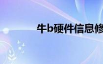 牛b硬件信息修改大师（牛b）