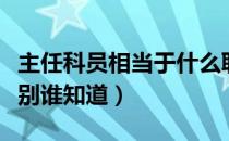 主任科员相当于什么职务（主任科员是什么级别谁知道）